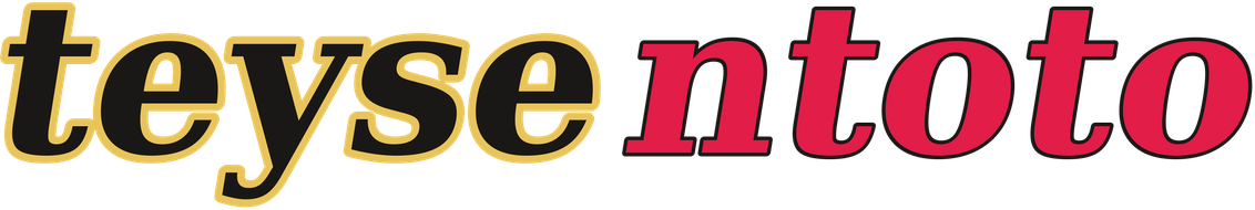 teysentoto logo